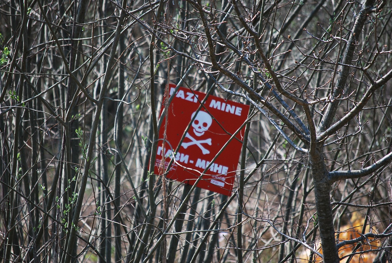 澄海代妈借卵生的男孩溺水身亡（澄海死亡）